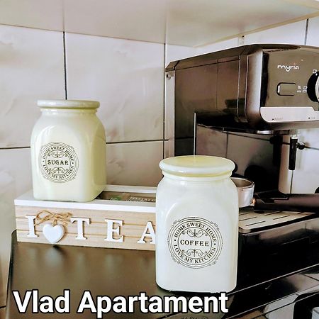 Vlad Apartament 布拉索夫 外观 照片