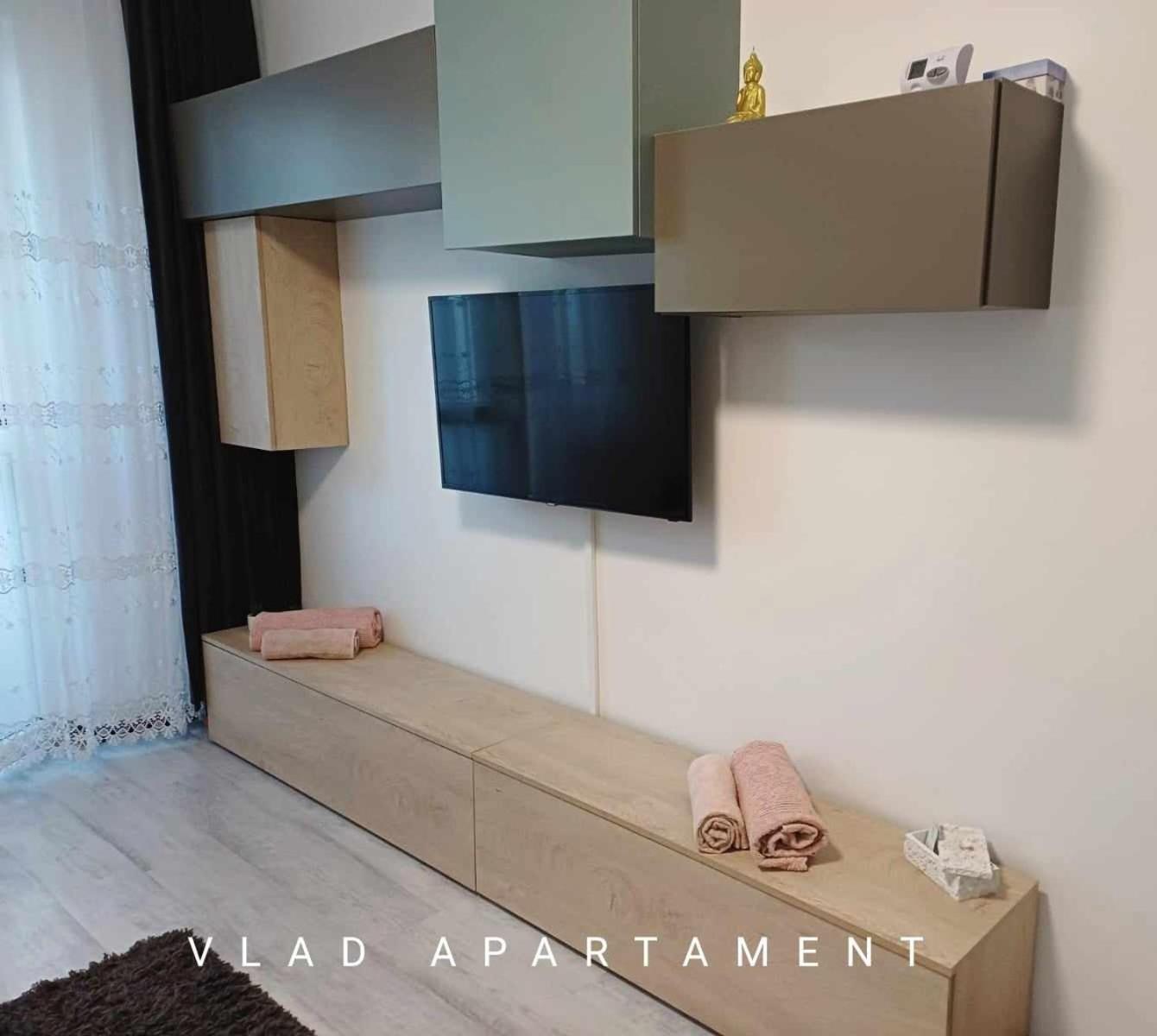 Vlad Apartament 布拉索夫 外观 照片