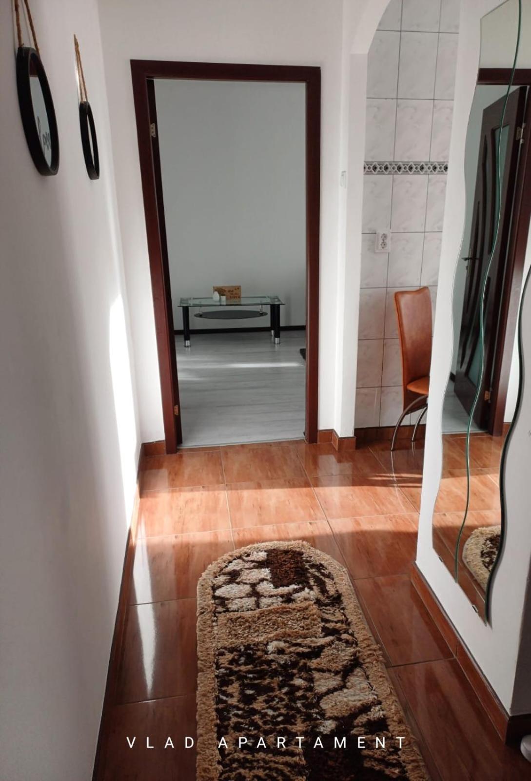 Vlad Apartament 布拉索夫 外观 照片