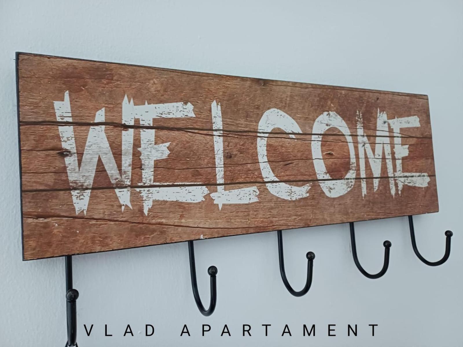 Vlad Apartament 布拉索夫 外观 照片