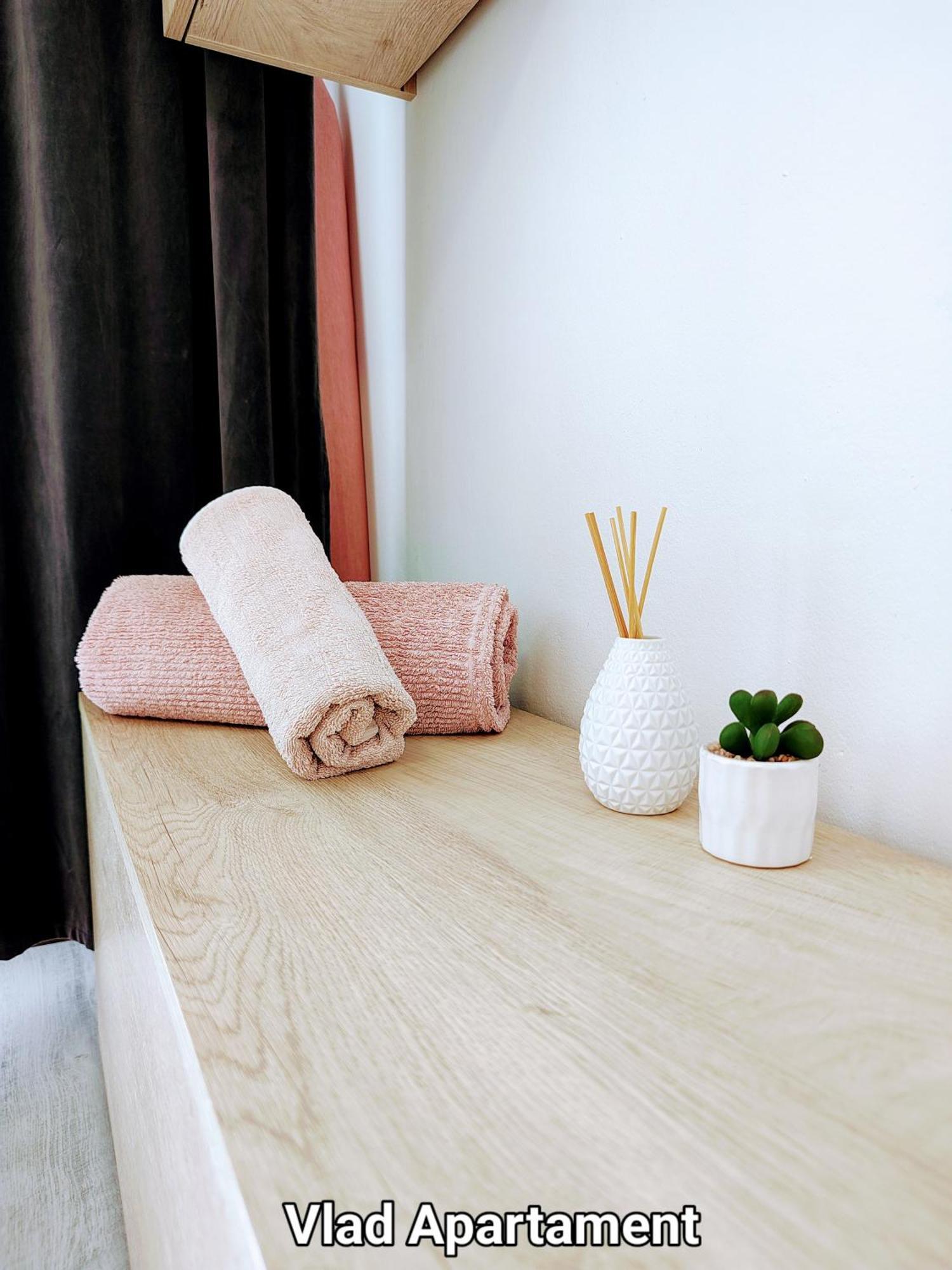 Vlad Apartament 布拉索夫 外观 照片