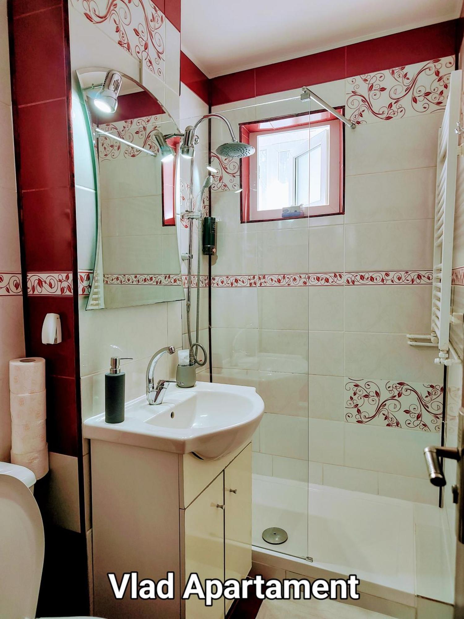Vlad Apartament 布拉索夫 外观 照片